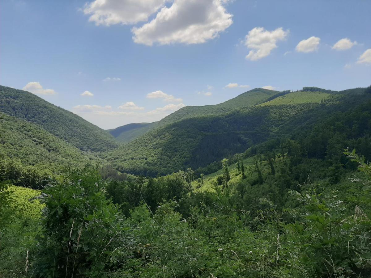 Hotel E-Tekergok Haza Bukkzserc Exteriér fotografie
