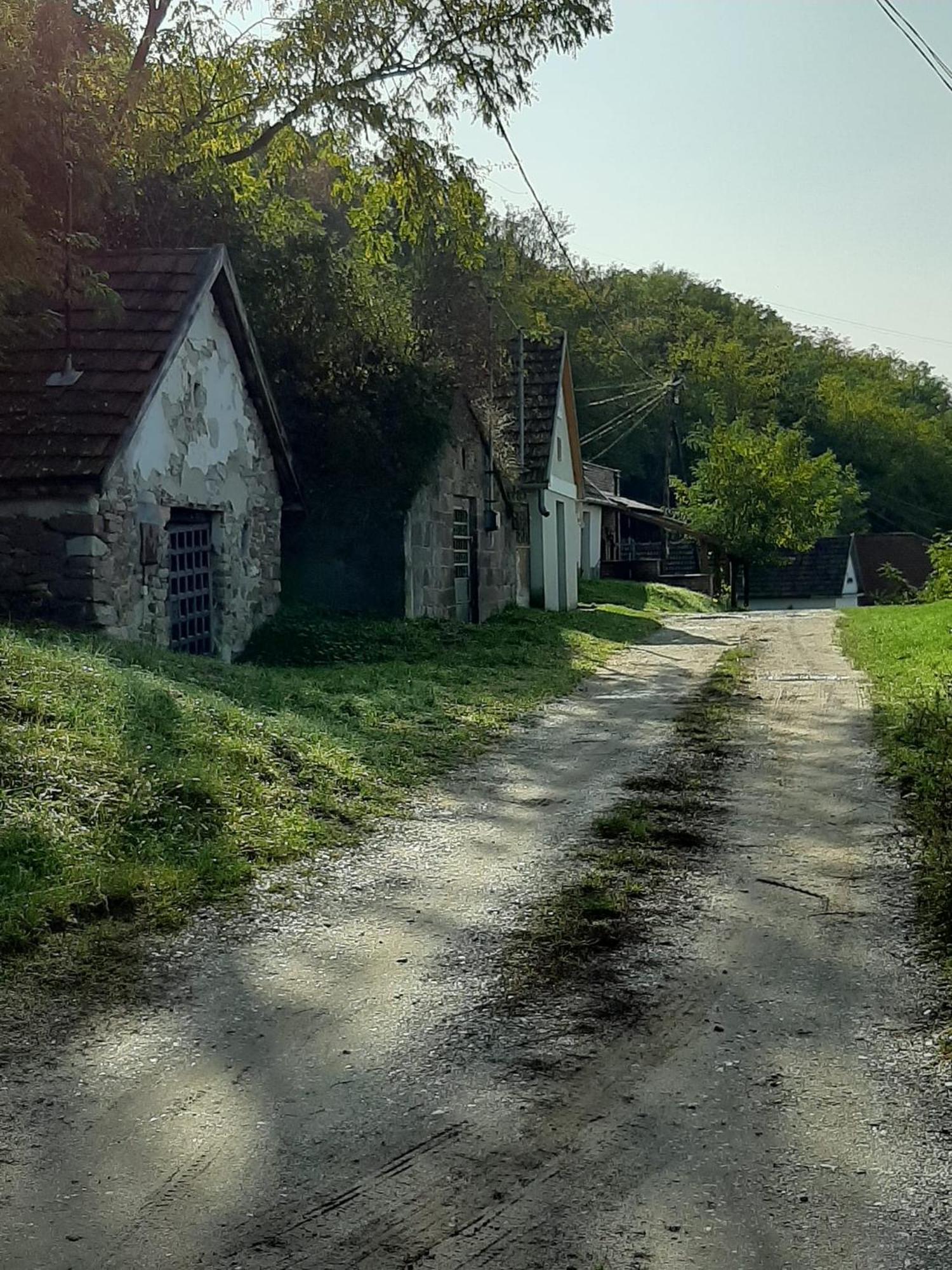 Hotel E-Tekergok Haza Bukkzserc Exteriér fotografie